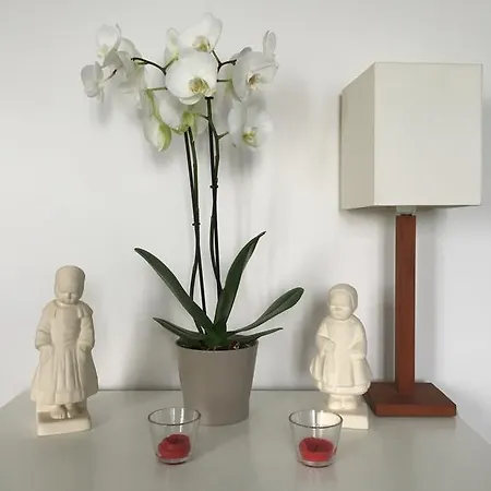 Design I - Port Du Rosmeur - 杜瓦讷内